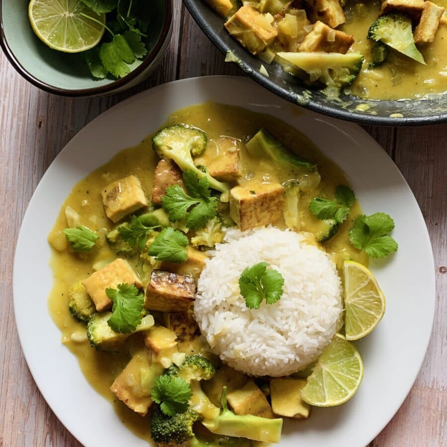 Thai Tofu Satay with Peanut Sauce Veggie Anh