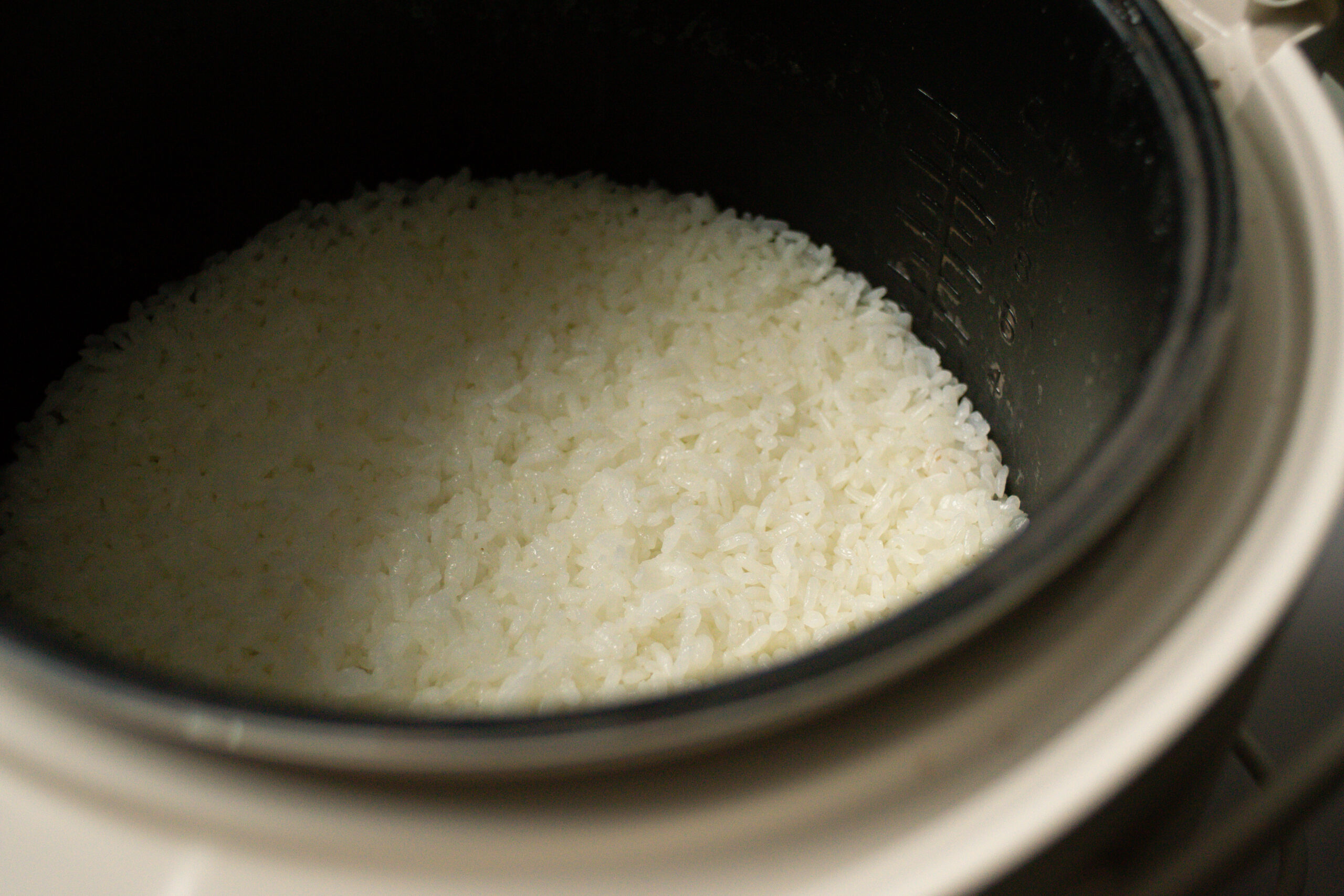 cooked japanese rice