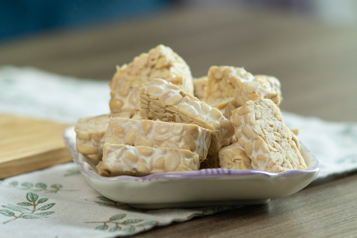blocks of tempeh