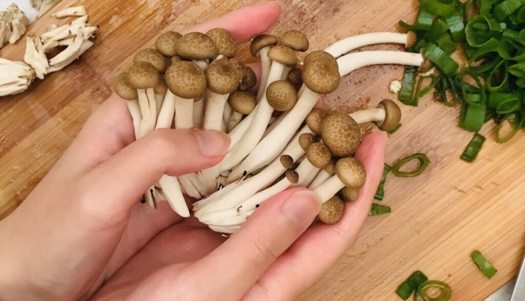 Shimeji Mushroom