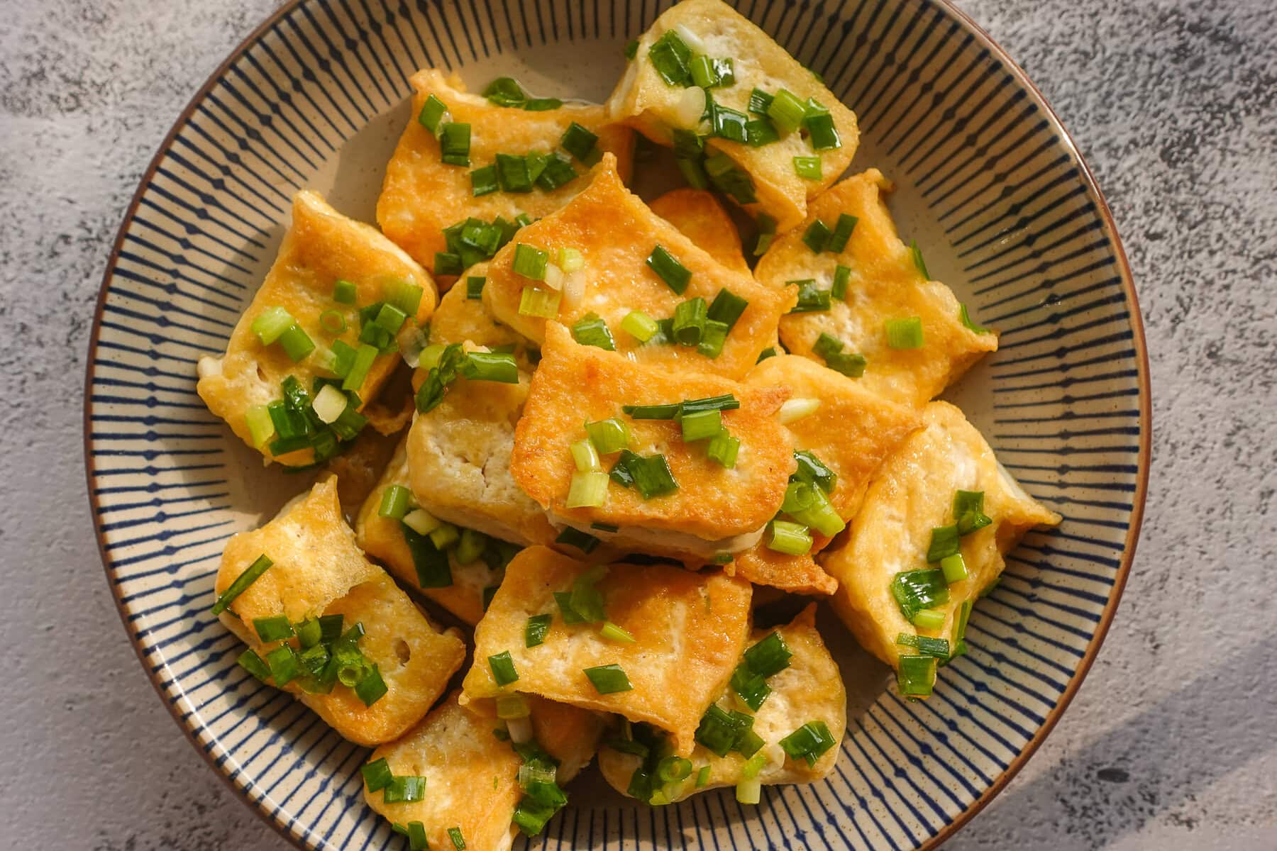 Vietnamese Fried Tofu w Scallions-1