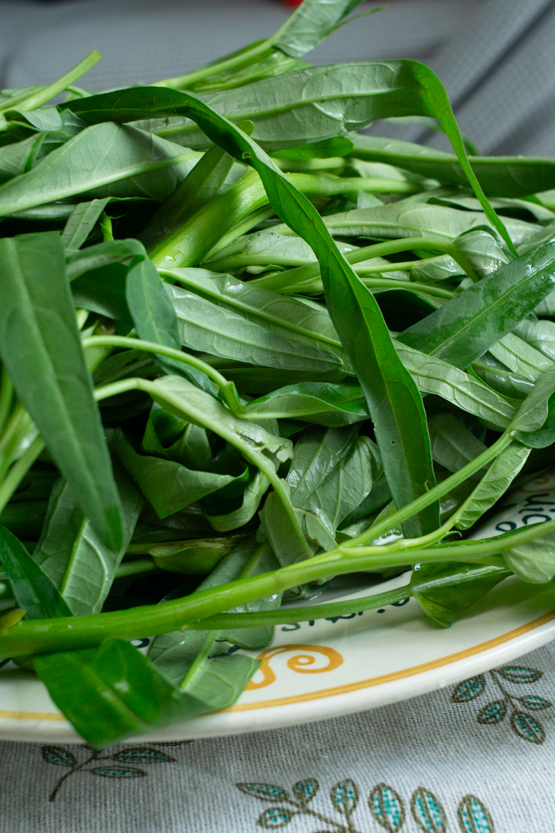morning glory or water spinach