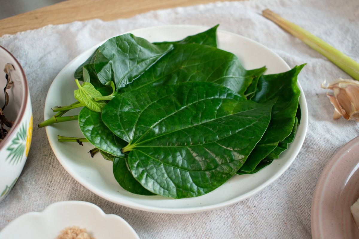 Betel Leaf